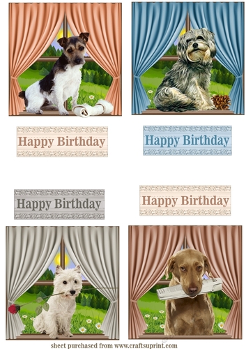 4 Cute dogs sitting at the window toppers