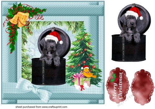  Christmas black Lab card fronts