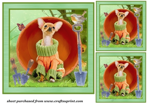 3 Little garden helper card fronts/toppers