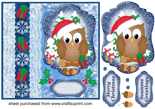 Blue Christmas present owl card front