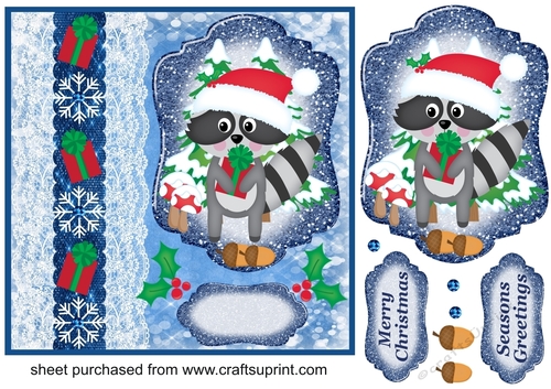 Blue Christmas present raccoon card front