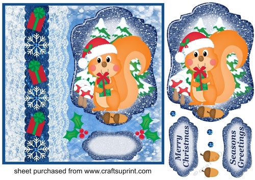 Blue Christmas present squirrel card front
