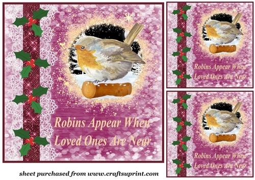 3 Robins appear Christmas card fronts/toppers