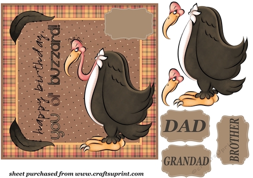 Ol buzzard birthday card front