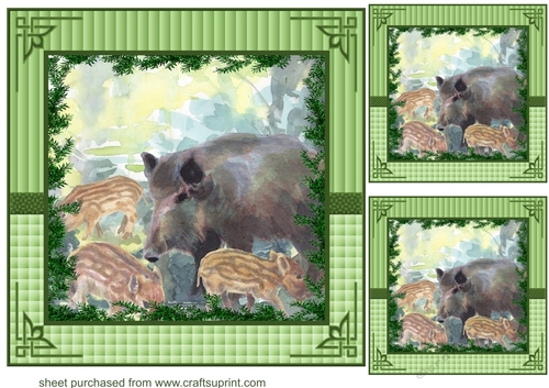 3 Forest wild boar card fronts/toppers 