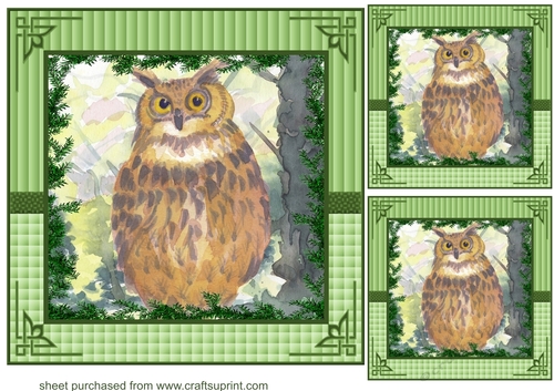 3 Forest owl card fronts/toppers 1
