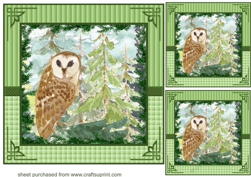 3 Forest owl card fronts/toppers 2