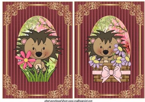 2 Cute floral hedgehog card fronts 1