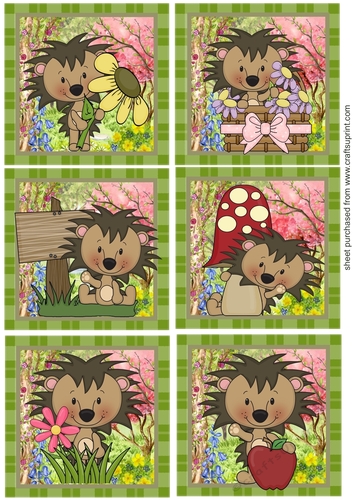 6 Floral hedgehog toppers