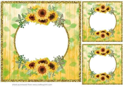 3 Floral frame with gold edge card fronts/toppers 4