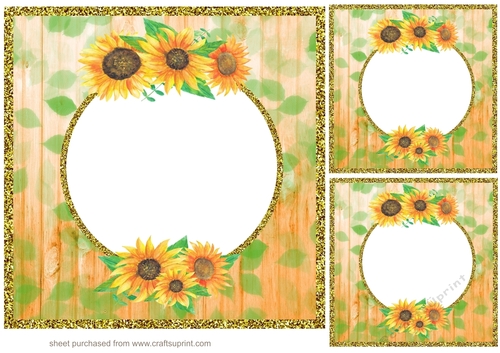 3 Floral frame with gold edge card fronts/toppers 5