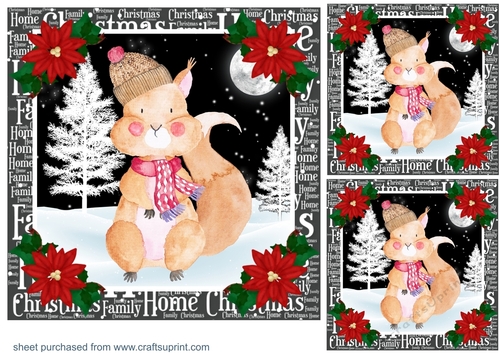 3 Christmas squirrel card fronts/toppers