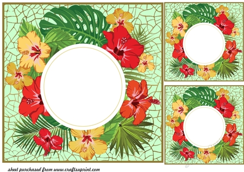 3 Tropical floral card fronts/toppers
