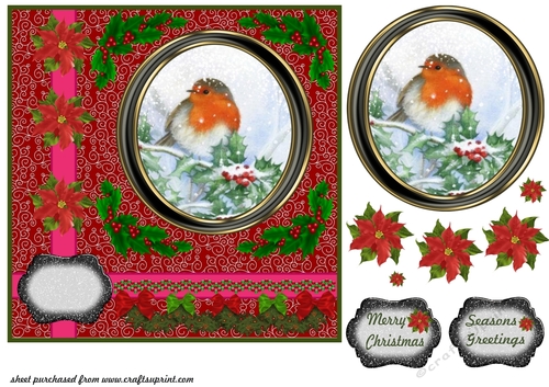 Christmas robin card front 5