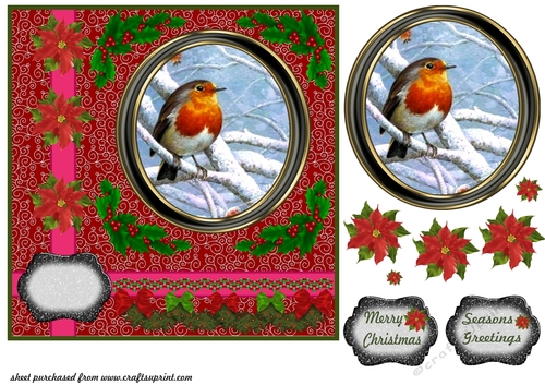 Christmas robin card front 6