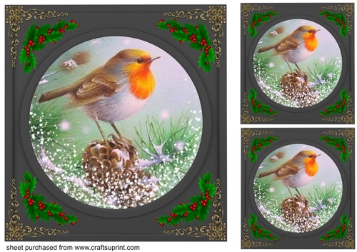 3 Beautiful Christmas robin with black frame card fronts/toppers 2
