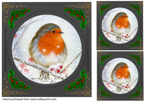3 Beautiful Christmas robin with black frame card fronts/toppers 3