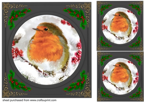 3 Beautiful Christmas robin with black frame card fronts/toppers 4