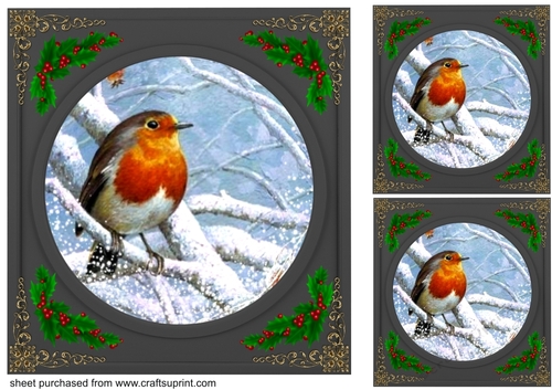 3 Beautiful Christmas robin with black frame card fronts/toppers 6