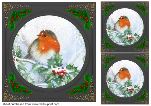3 Beautiful Christmas robin with black frame card fronts/toppers 7