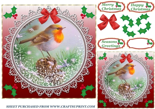 Red lace robin card front 2