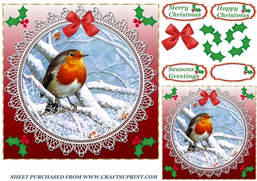 Red lace robin card front 6
