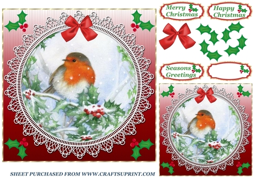 Red lace robin card front 7