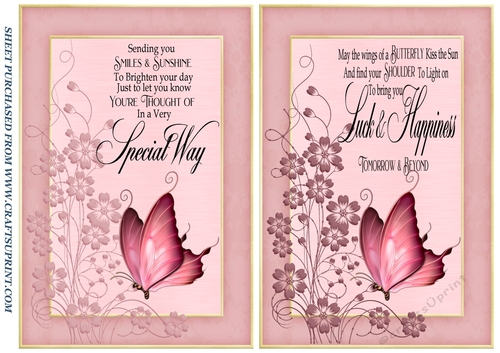 2 Pink butterfly verse card fronts