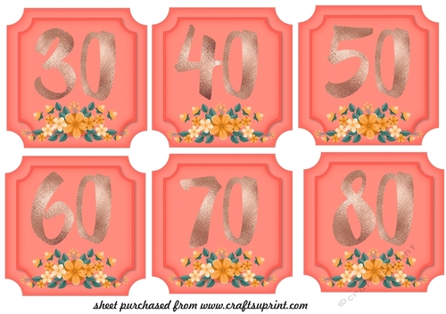 6 Orange Floral milestone Birthday toppers