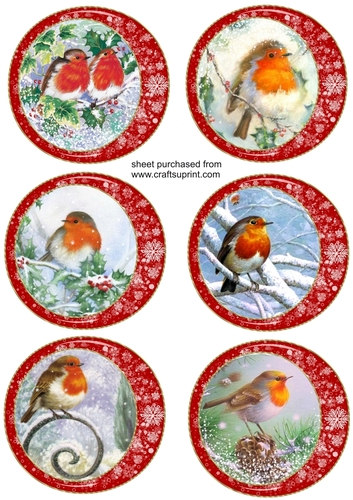 6 Robin in snowflake frame toppers