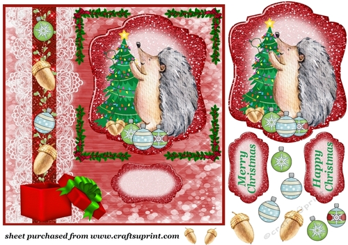 Hedgehog getting ready for Christmas card front