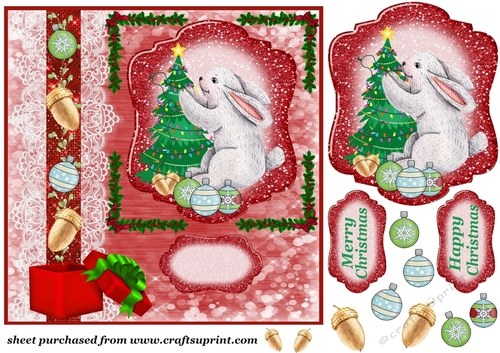 Rabbit getting ready for Christmas card front