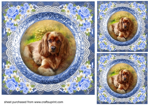 3 Blue floral pets card fronts/toppers 2