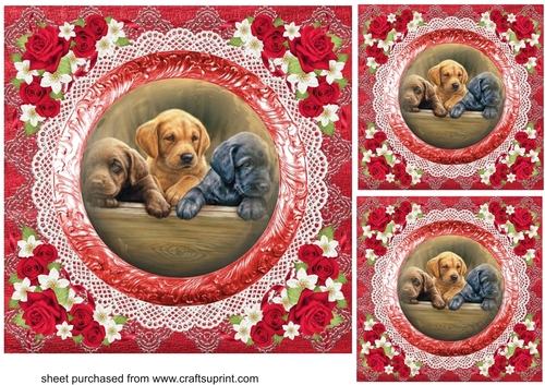 3 Red floral pets card fronts/toppers 1