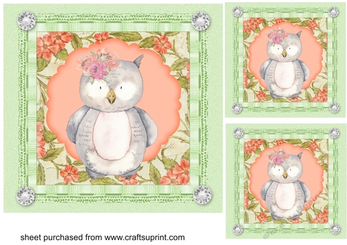 3 Green and peach floral owl card fronts/toppers