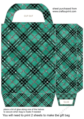 Green plaid gift bag