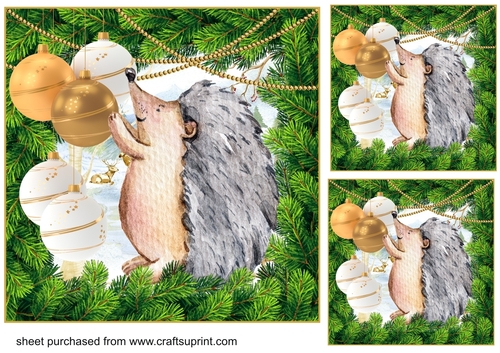 3 Hedgehog decorating the forest card fronts/toppers