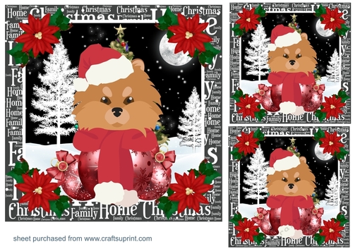 3 Christmas Pomeranian card fronts/toppers