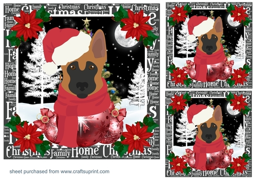 3 Christmas G S D card fronts/toppers