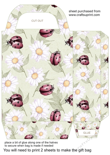 Daisy and ladybird gift bag 1