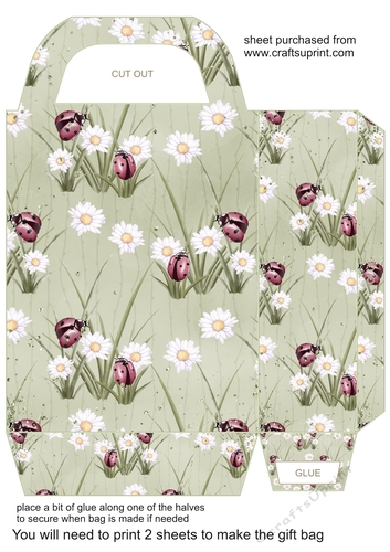 Daisy and ladybird gift bag 2