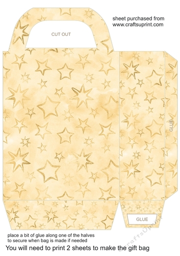 Gold stars gift bag