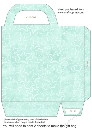 Green stars gift bag