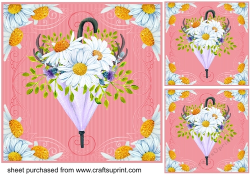 3 Daisy umbrella card fronts/toppers 3