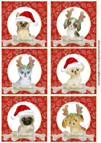 6 Cute puppy,Its Christmas toppers