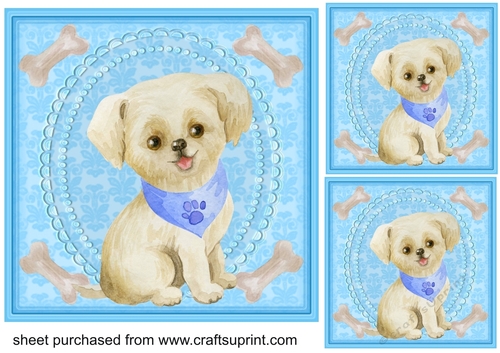 3 Blue cute pup card fronts/toppers 4