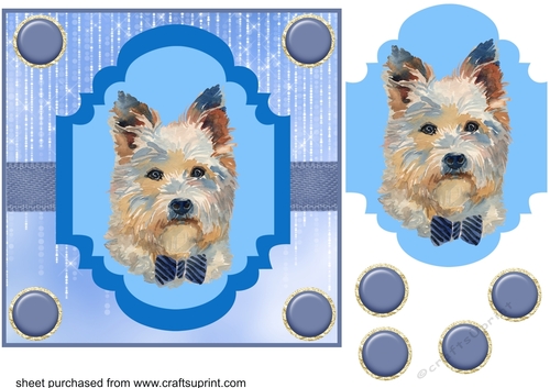 West Highland Terrier card front