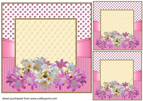 3 Pink framed floral card fronts/toppers 1