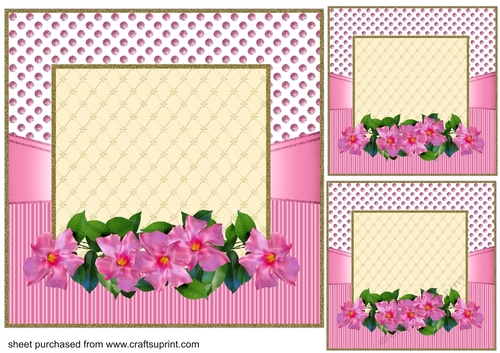 3 Pink framed floral card fronts/toppers 2