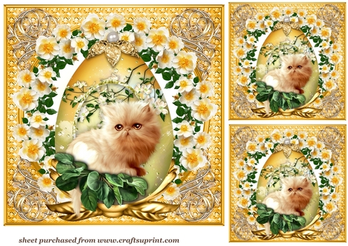 3 cute cat in yellow egg card fronts/toppers